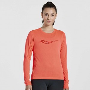 Női Saucony Stopwatch Graphic Long Sleeve Póló Narancssárga | HUNGARY KIQUL